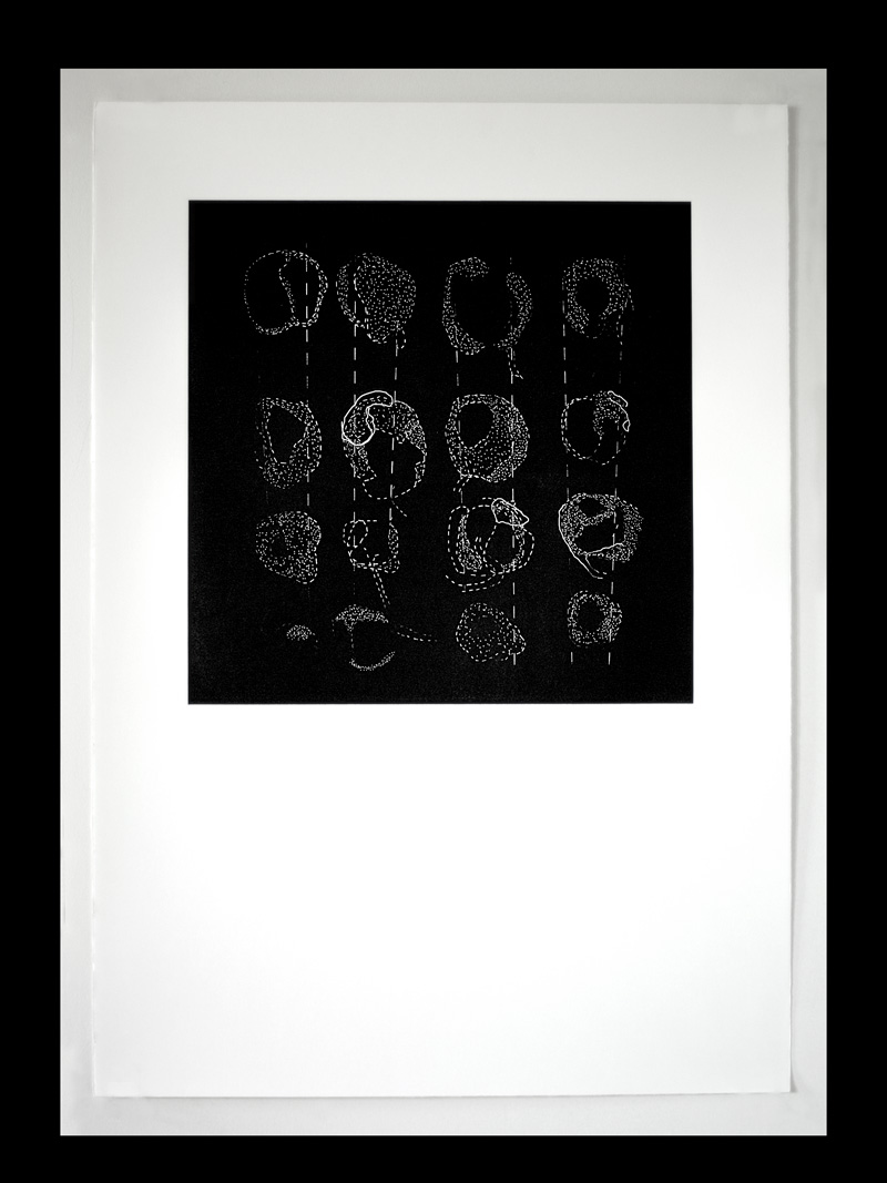 Celestial Workshops Series