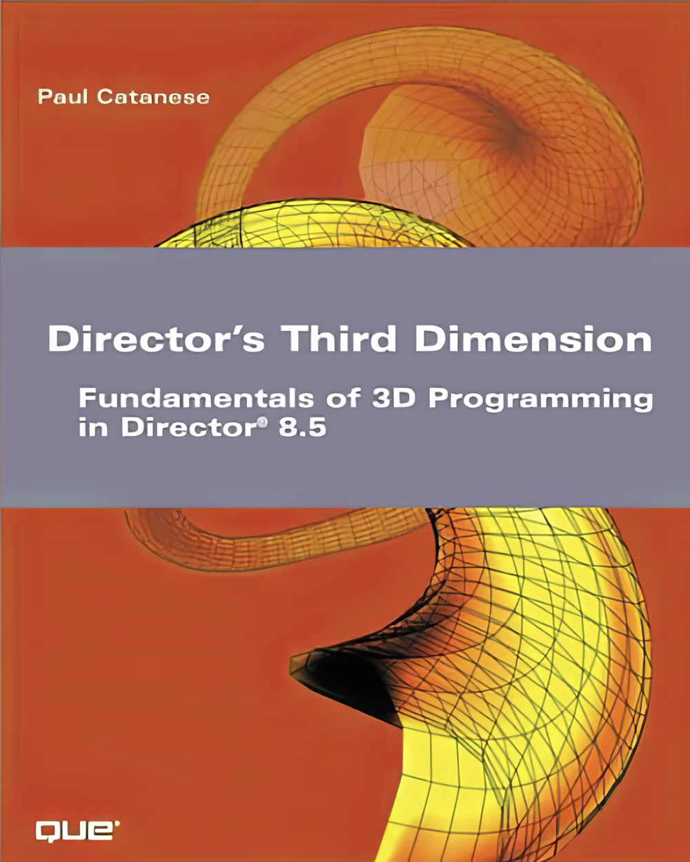 Director's Third Dimension book cover